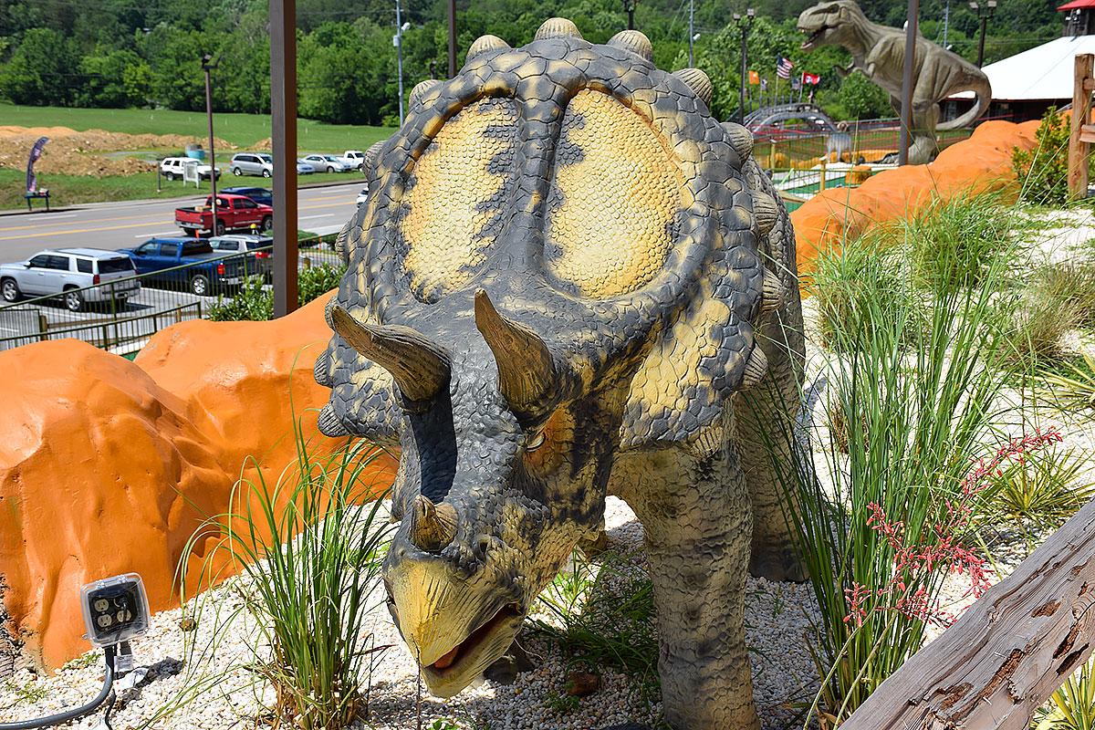 Goats on the roof at Goats on the Roof of the Smoky Mountains in Wears Valley Tennessee