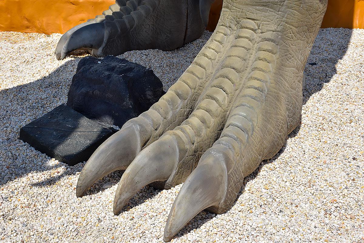 Spring scenery in Wears Valley Tennessee with blooming trees and family activities