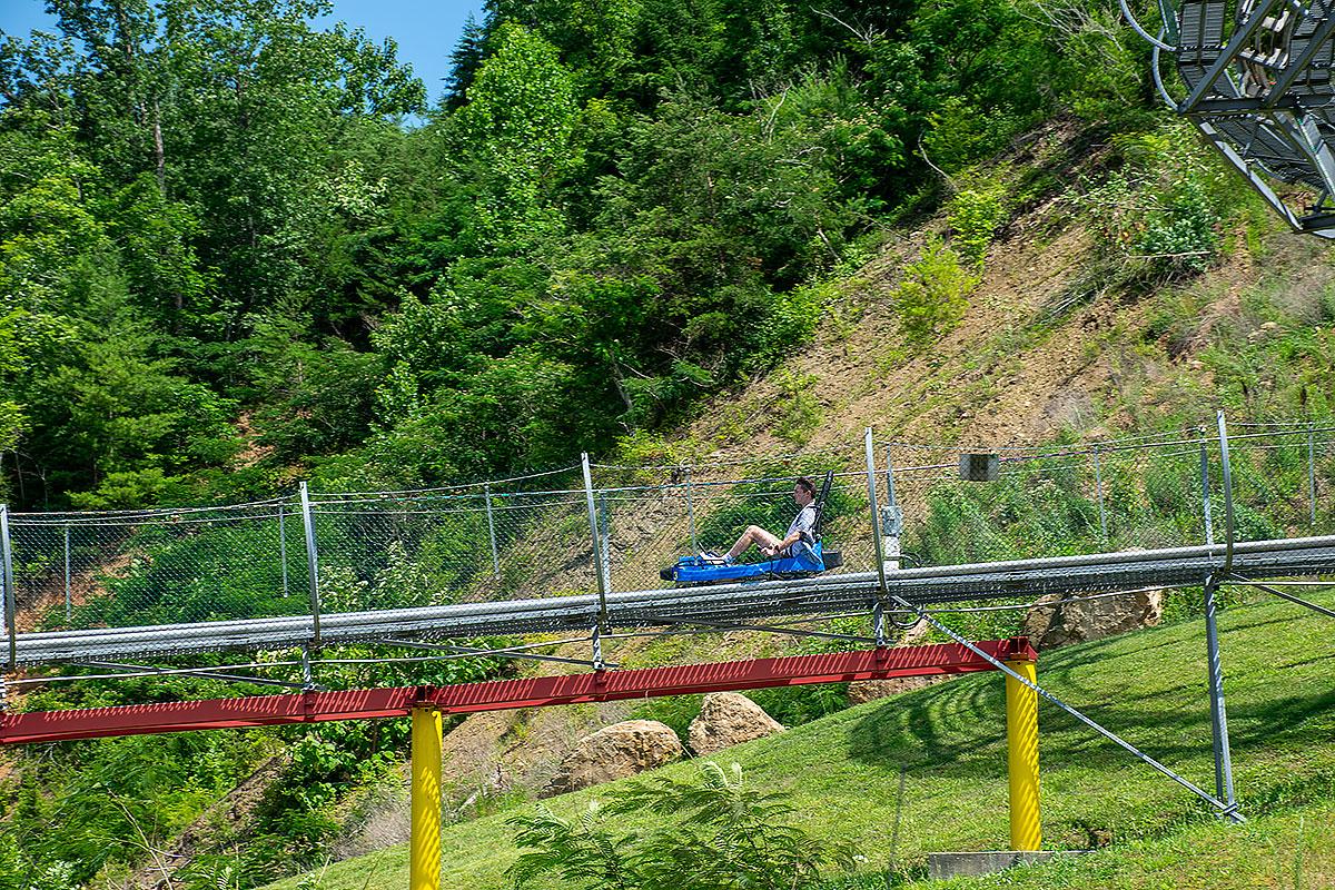 Goats on the Roof of the Smoky Mountains in Wears Valley near Pigeon Forge Tennessee