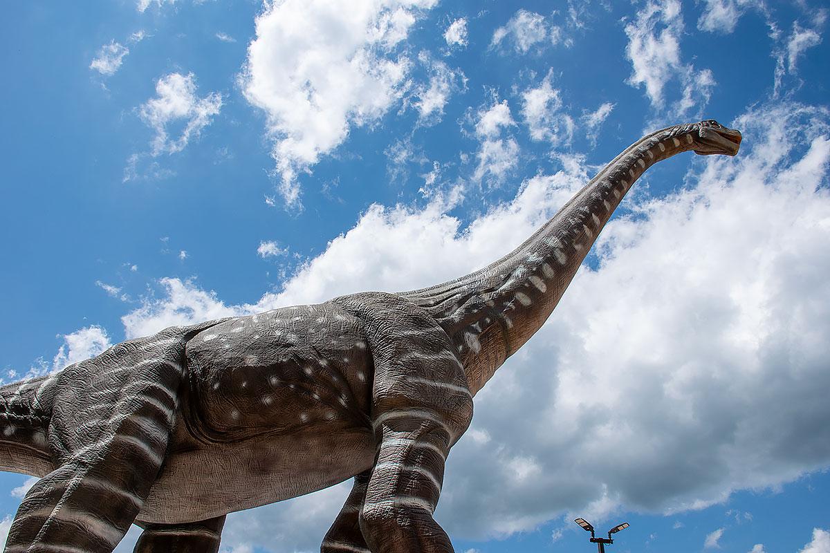 Winter time in the Smokies is a great time to visit.