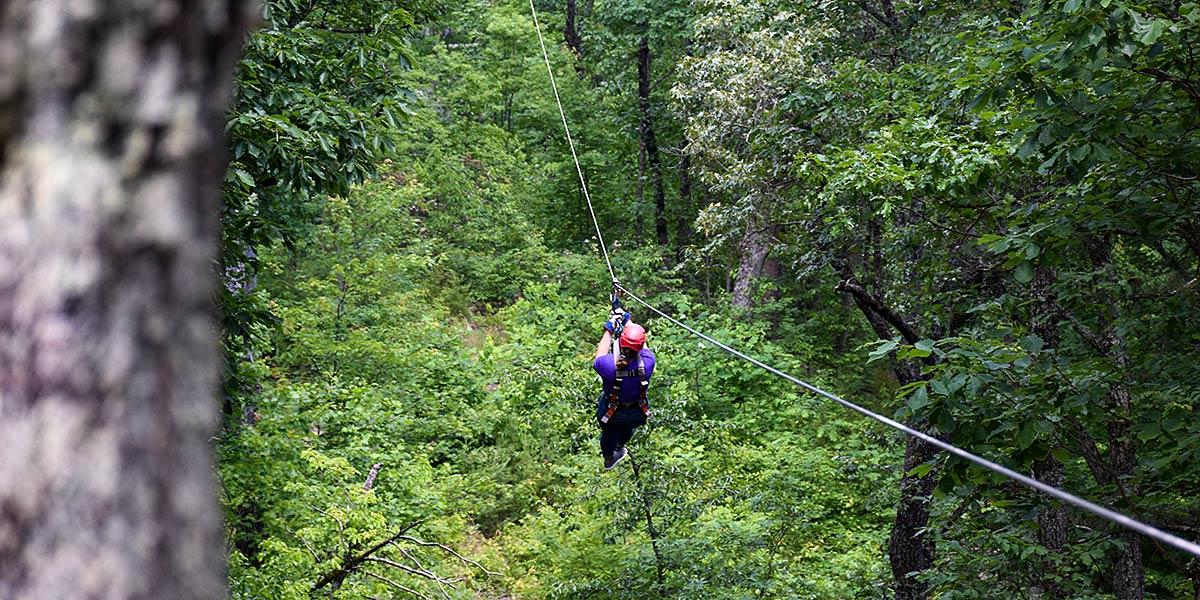Canopy tours in the Smoky Mountains